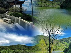 -黄埔油麻山森林公园