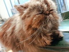 -泉乐坊步行街(烟酒特产平价超市店)