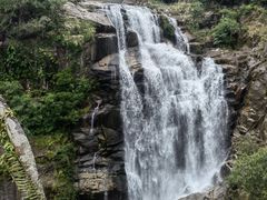 -海南热带雨林国家公园吊罗山景区