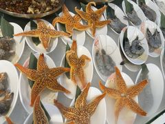 -半岛听涛蒸汽海鲜自助(K11店)