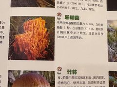 -太婆天府山珍酒楼(亚运村店)