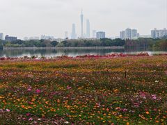-海珠湖公园