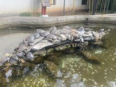 -红螺寺