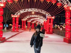 -沈阳奥体冰雪嘉年华