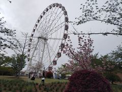 -顾村公园