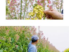 -中国天府农业博览园