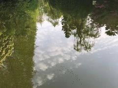 -荆川公园