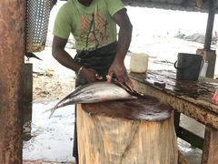 景点-尼甘布海鲜市场