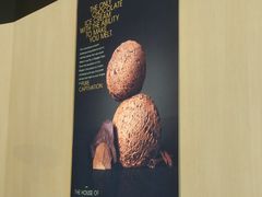 -哈根达斯(西安高新店)