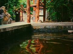 -龙达温泉生态城