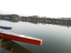 -羊山湖公园