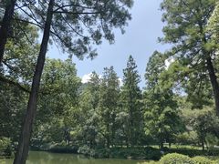 -杭州花家山庄