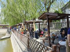 -尚庄度假村·庭台树下·户外烧烤·团建CS·轰趴营地(上庄水库店)