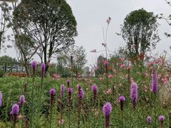 -府河摄影公园
