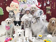 -汪说·狗咖·拼豆·宠物周边DIY(旺城大厦店)