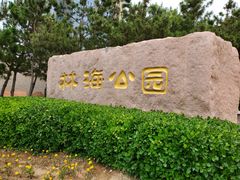 -林海公园