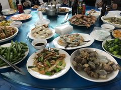 -夏军农家乐