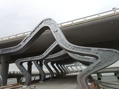 -演武大桥观景平台