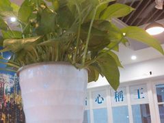 大堂-添运来(茶园奥园广场店)