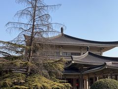 -陕西历史博物馆