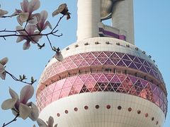 -东方明珠广播电视塔