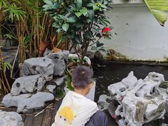 -道南書院·私房菜·早午茶·茶馆