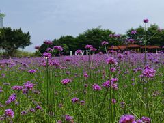 -厦门园林博览苑