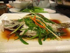 DSC01229-粤香楼(新光里店)