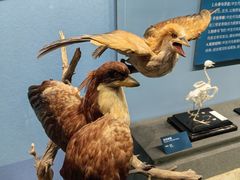 -国家自然博物馆