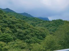 -秦岭风景区