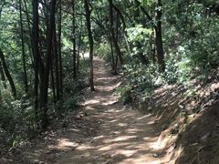 -灵岩山风景区