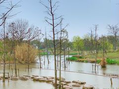 -上海长兴岛郊野公园