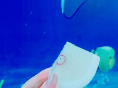 -范饭椰林川湘味海鲜·椰子鸡(三亚湾椰梦长廊店)