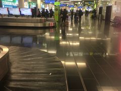 -维也纳国际机场