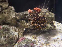 -Zoolung Zoolung动物主题公园(海信广场店)