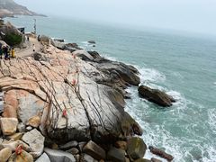 -广东惠东海龟国家级自然保护区