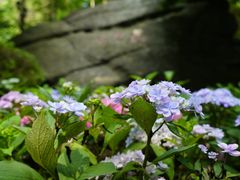 -庐山风景名胜区