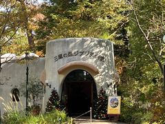 -井之头恩赐公园