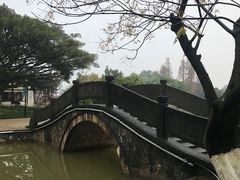 -江心屿景区