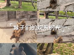 -哈尔滨北方森林动物园
