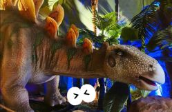 -恐龙探索乐园(磁器口店)