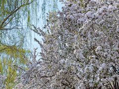 -元大都城垣遗址公园