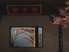 -虎跑公园