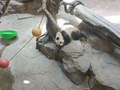 -宁波野生动物园