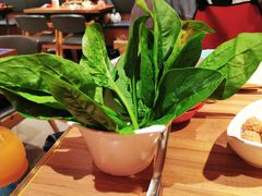 -季季红火锅(长沙步行街店)