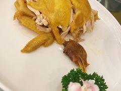 -新成海港大酒楼(康华路店)