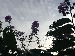 -三亚亚龙湾雅高铂尔曼别墅度假酒店
