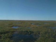 -三江平原湿地宣教馆