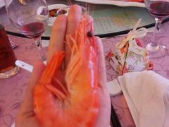-科尔海悦酒店·柏顿花园餐厅(清河东路店)