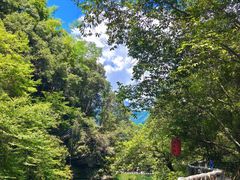 -石台牯牛降景区